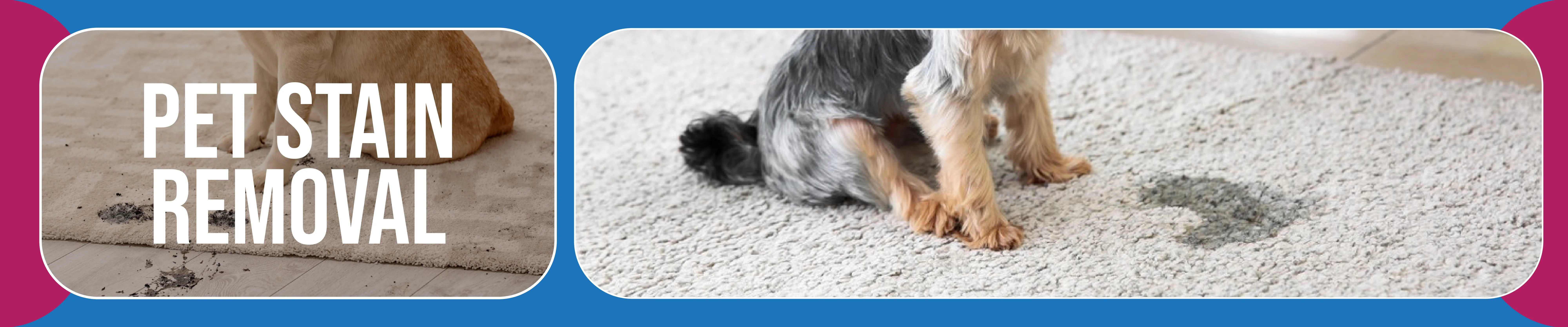 carpet cleaning in the westchester, carpet cleaning in the westchester, carpet cleaning the westchester, carpet cleaners in the westchester, carpet cleaners in the westchester, commercial carpet cleaning, commercial carpet cleaning in the westchester, the westchester rug cleaners, rug cleaning services in the westchester, same day carpet cleaning, same day rug cleaning